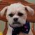 Ron Albertson's profile image