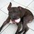 Dania Voumard-Rusanov's profile image