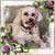Darlene Carlsen's profile image
