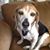Lisa Sterkowicz Caccioppo's profile image