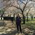 Teri Duffy's profile image