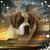 Carol McQuinn's profile image