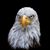 Mark Charles Richards's profile image