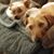 Deborah Wallman Heise's profile image