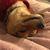 Amy Droivold-Moore's profile image