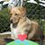 Roseann Yourick's profile image
