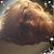 Sharon Bula-Somers's profile image