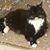 Lynda Rose McMahan's profile image