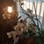 Glenda Gill's profile image