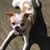 Mary Hartshorne's profile image