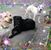 Heather Underwood's profile image