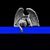 Marcia Maggard Hill's profile image