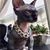 Aiden Ziur's profile image