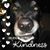 Renae Johnson's profile image