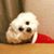 Savannah Rose's profile image
