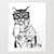Eric McCord Bergland's profile image