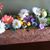 Roxie Jones-Antczak's profile image