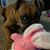 Monica Anderson Lee's profile image