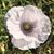 Mary Tuscher's profile image