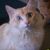John Bellere's profile image