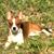 Chuck Cruzan's profile image