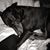 Kelly Trovillo Miracle's profile image