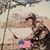Steven Staiger's profile image