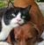 Kristine Riley's profile image