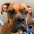 Bonnie Peeples's profile image