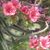 Linda Mary Langley's profile image