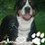 Tamara Kelly Dyer's profile image