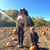 Sarah Collins Lench's profile image
