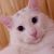 Maha ElBeltagy's profile image