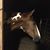 Kathey Crane Childers's profile image
