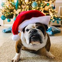 Michael Hayes's profile image