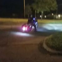 Catarino Cat Ybarra's profile image