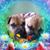Donna Holder's profile image