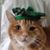 Drew W. Rosch's profile image