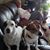 Linda Whitfield Styron's profile image