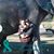 Brittany Renée Hodges's profile image