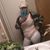 Kim Algiers's profile image