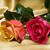 Belinda Sims's profile image