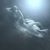 Esther Sanchez's profile image