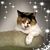 Tina Wisler's profile image