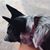 Kimberley Grosenbacher Loeffler's profile image