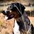 Lori Priest's profile image