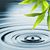 Santa Fe Wellness Center's profile image