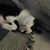 Laura Kuehne's profile image