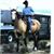 Jason Springston's profile image