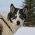 Susan Askew's profile image